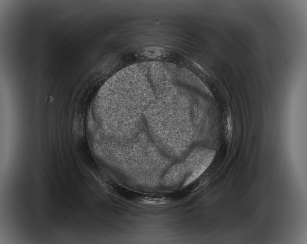 X0000082930606200703020107