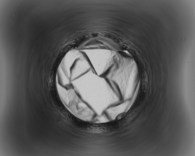 X0000082930608200703020107