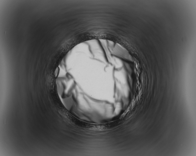 X0000082930609200703020107
