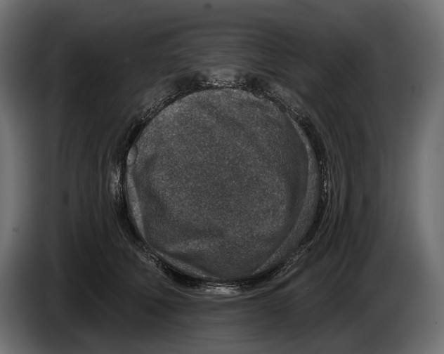 X0000082930610200703020107