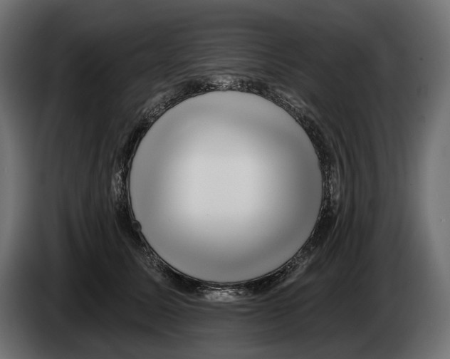 X0000082930611200703020107