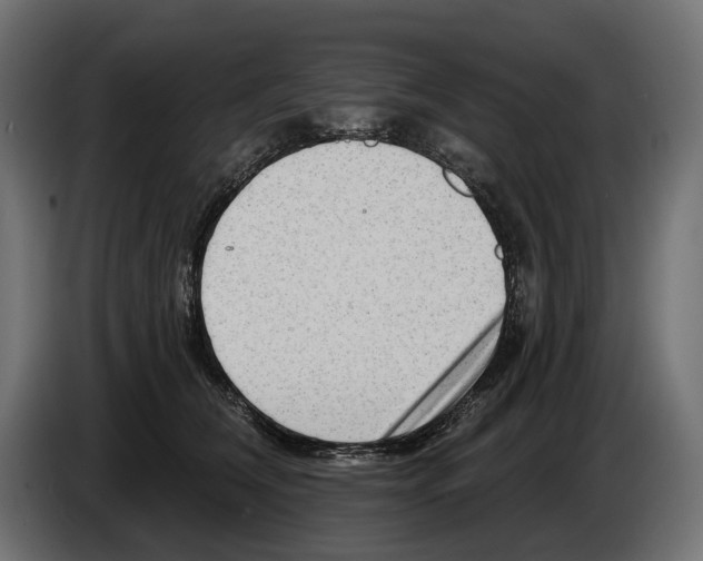 X0000082930612200703020107