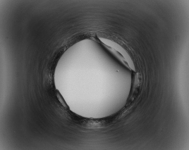 X0000082930613200703020107