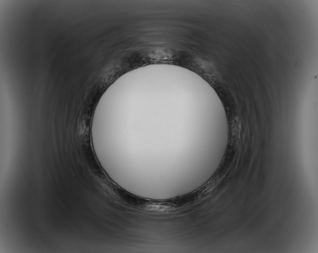 X0000082930614200703020107