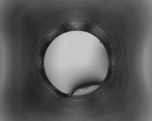 X0000082930615200703020107