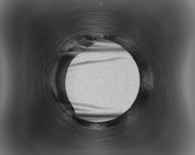 X0000082930616200703020107