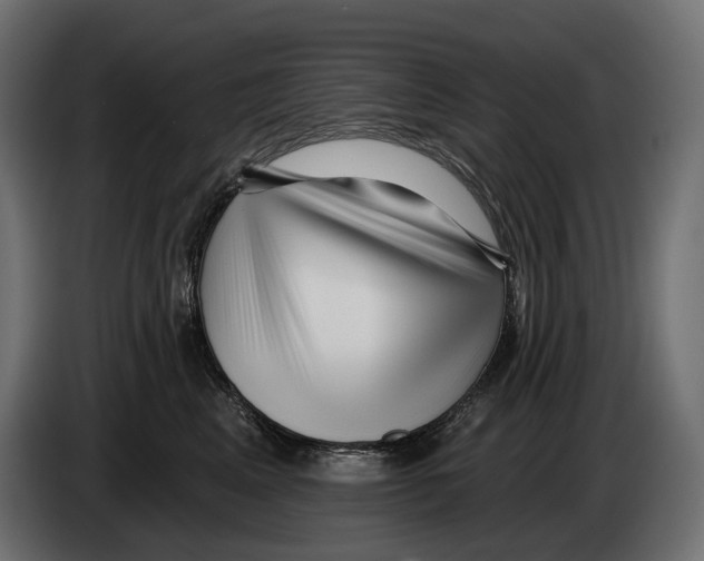 X0000082930617200703020107