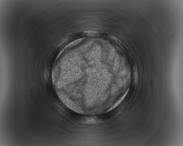 X0000082930618200703020107