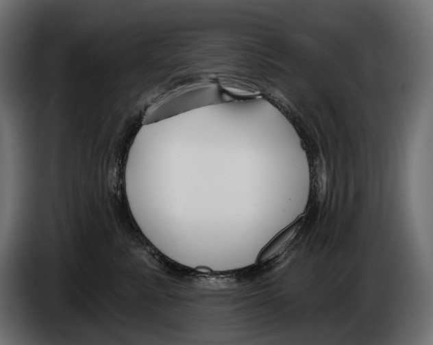 X0000082930619200703020107