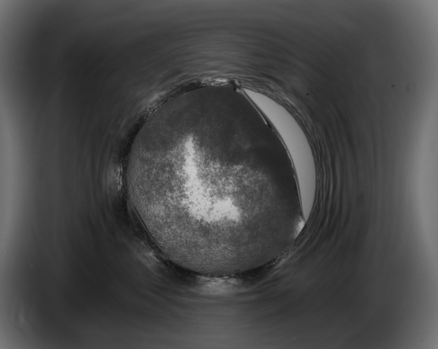 X0000082930621200703020107