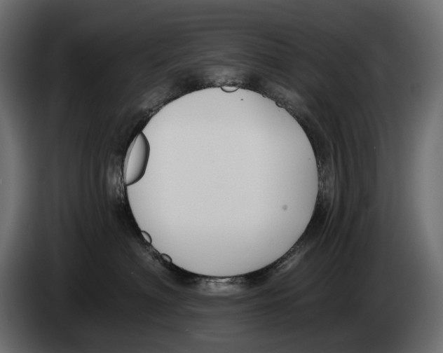 X0000082930622200703020107