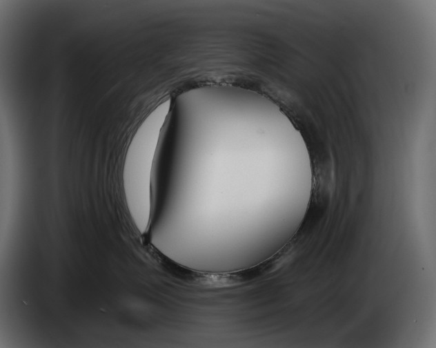 X0000082930623200703020107