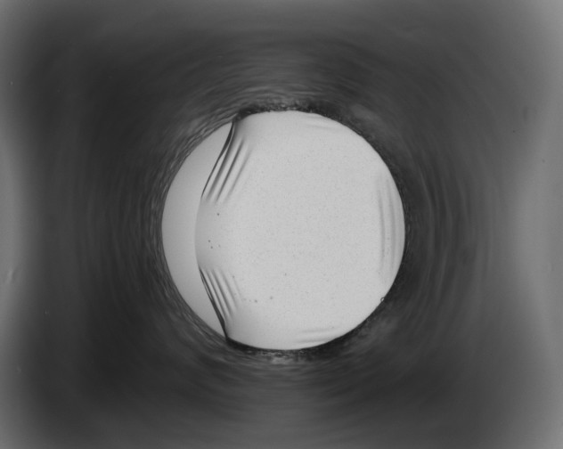 X0000082930624200703020107
