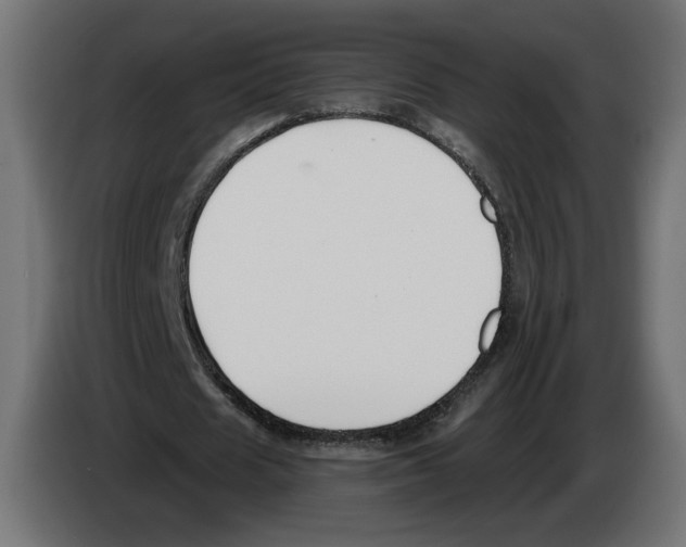 X0000082930625200703020106