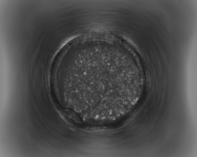 X0000082930626200703020106