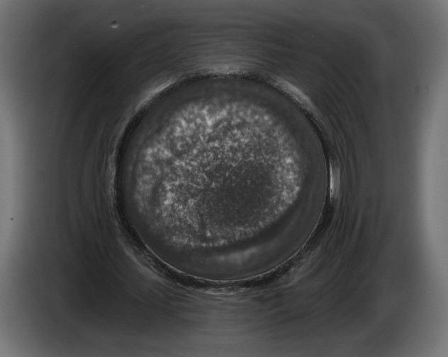 X0000082930627200703020106
