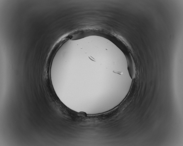 X0000082930628200703020106