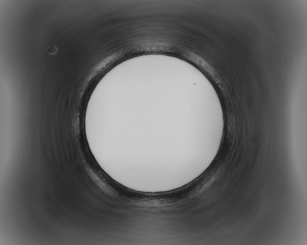 X0000082930629200703020106