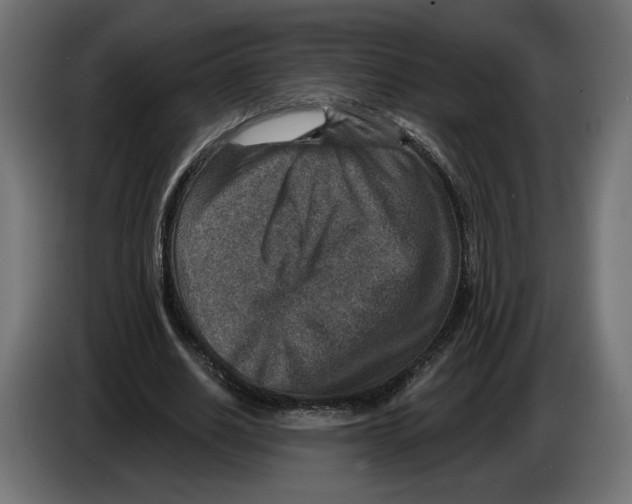 X0000082930630200703020106
