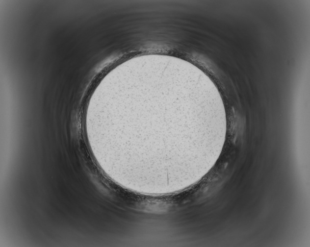 X0000082930632200703020106