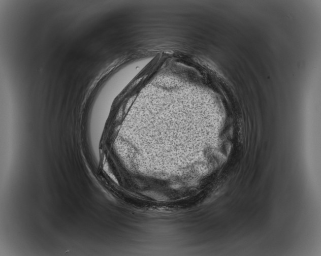 X0000082930634200703020106