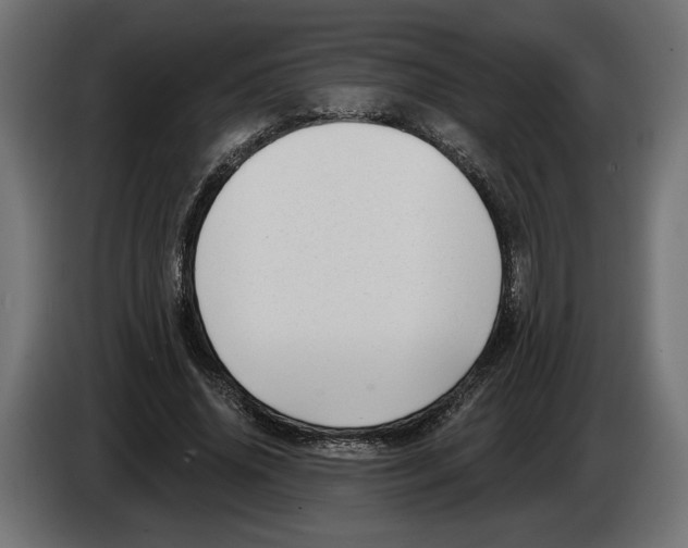 X0000082930636200703020106