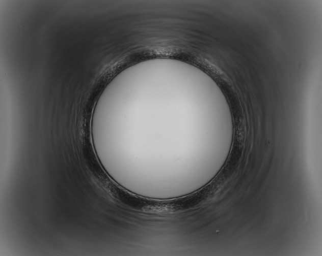 X0000082930639200703020106