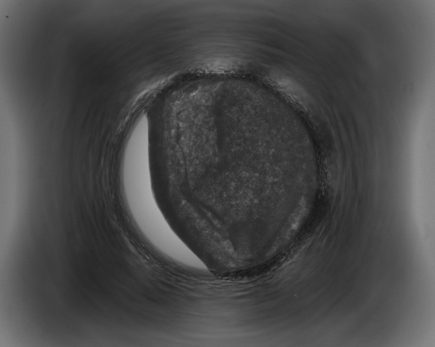 X0000082930640200703020106