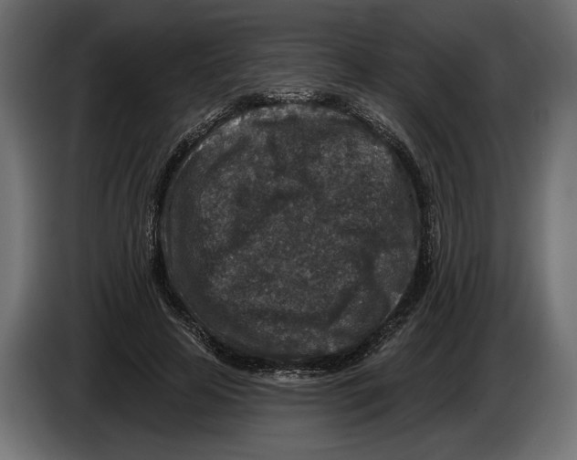 X0000082930641200703020106