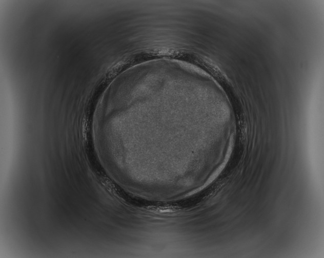 X0000082930643200703020106