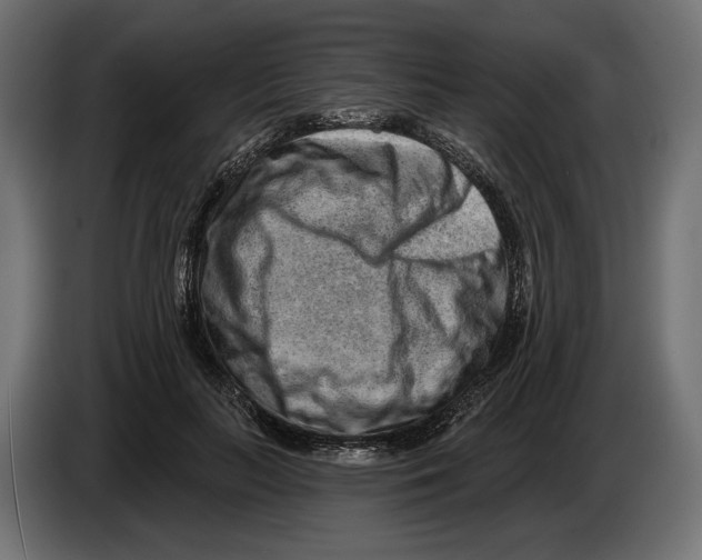 X0000082930647200703020106