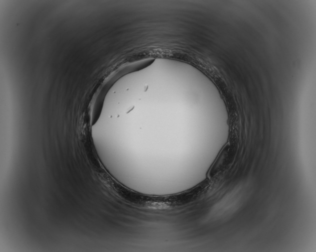 X0000082930649200703020106