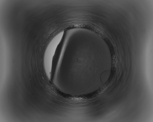 X0000082930650200703020106