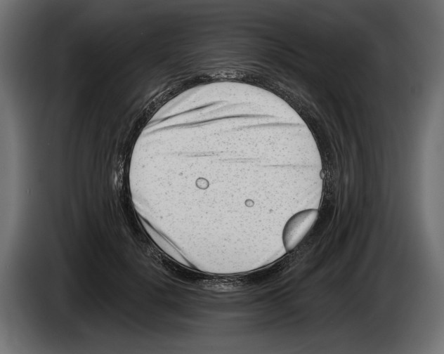 X0000082930652200703020106