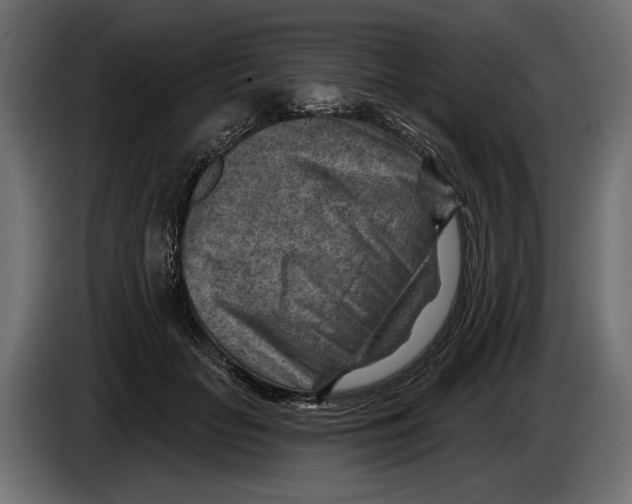 X0000082930653200703020106