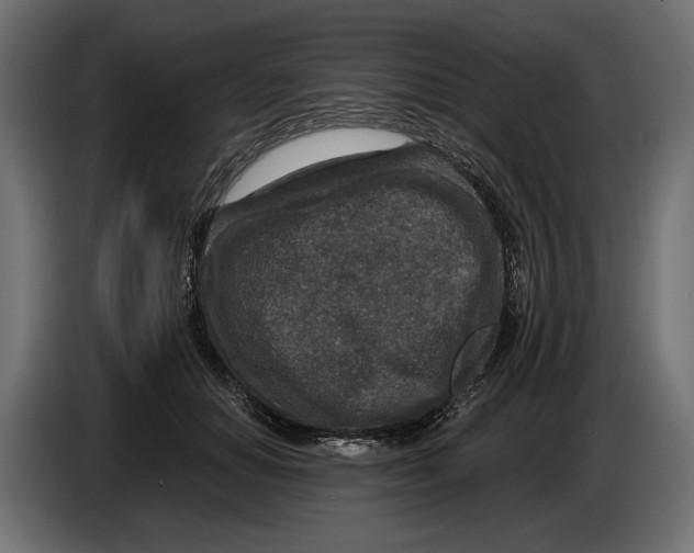 X0000082930654200703020106