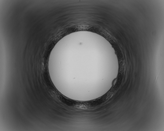 X0000082930655200703020106