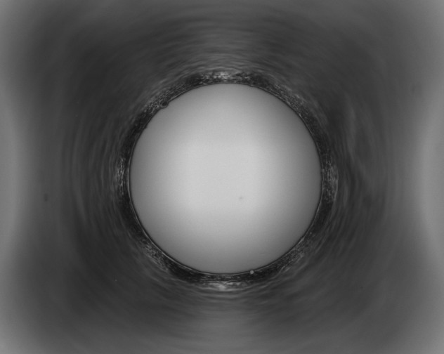 X0000082930657200703020106