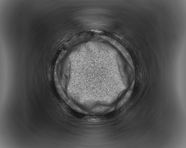 X0000082930658200703020106