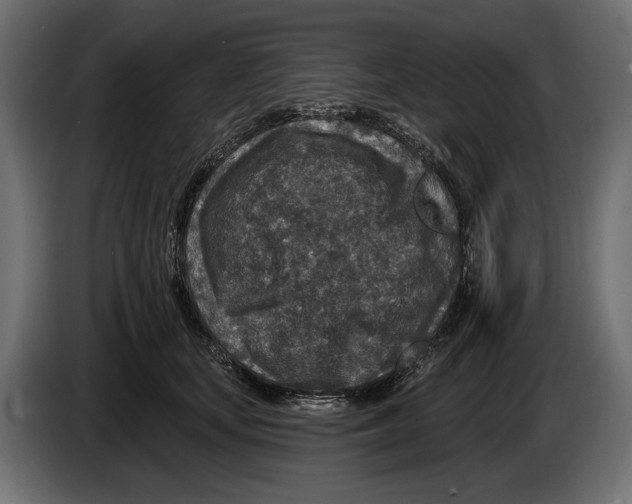 X0000082930659200703020106