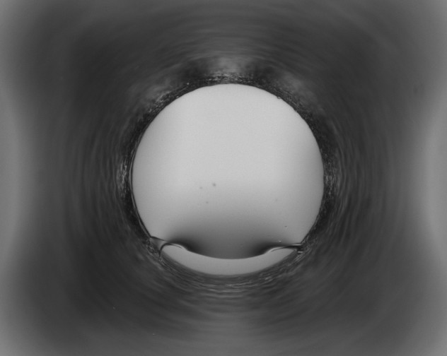 X0000082930660200703020106