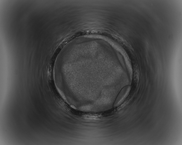 X0000082930661200703020106