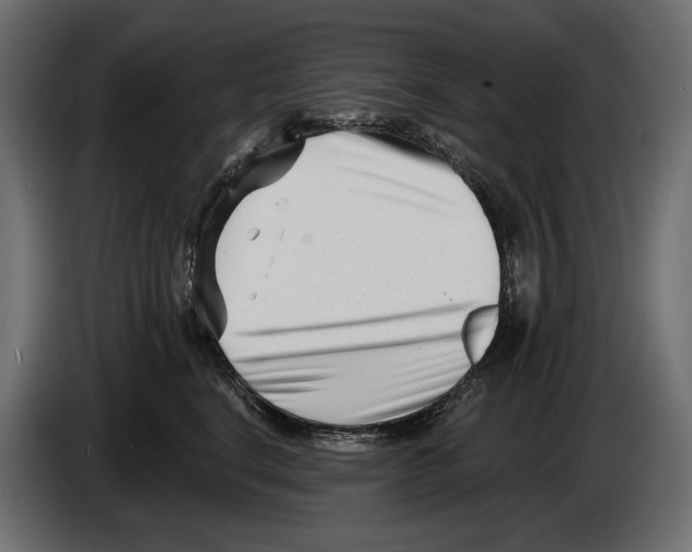 X0000082930664200703020106