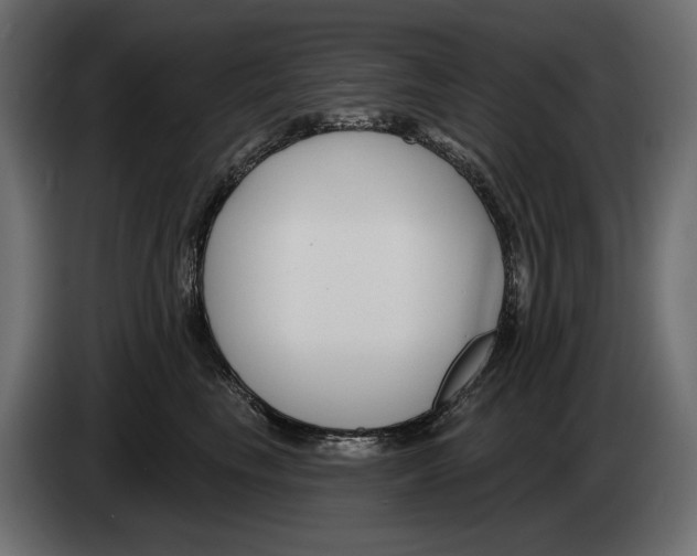 X0000082930665200703020106