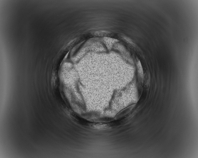 X0000082930669200703020107