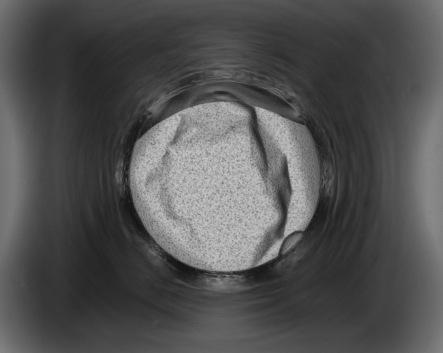X0000082930670200703020107