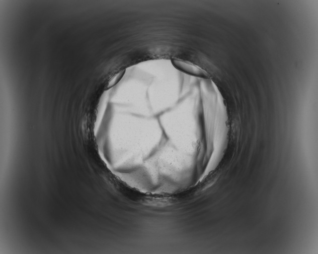 X0000082930671200703020107