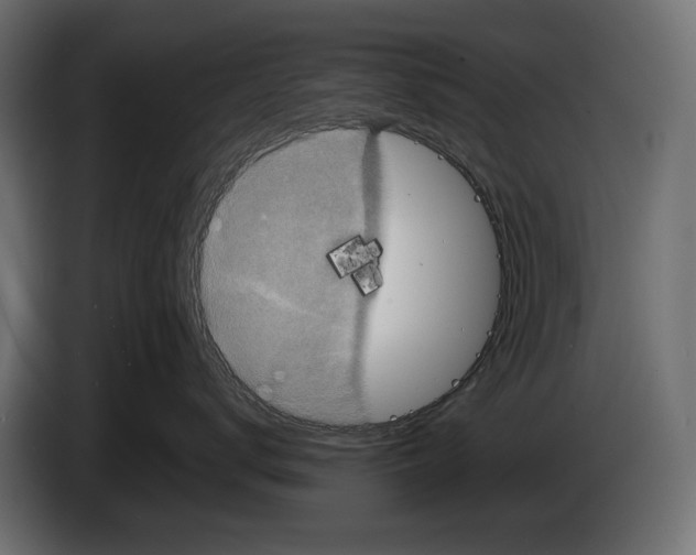 X0000082930672200703020107