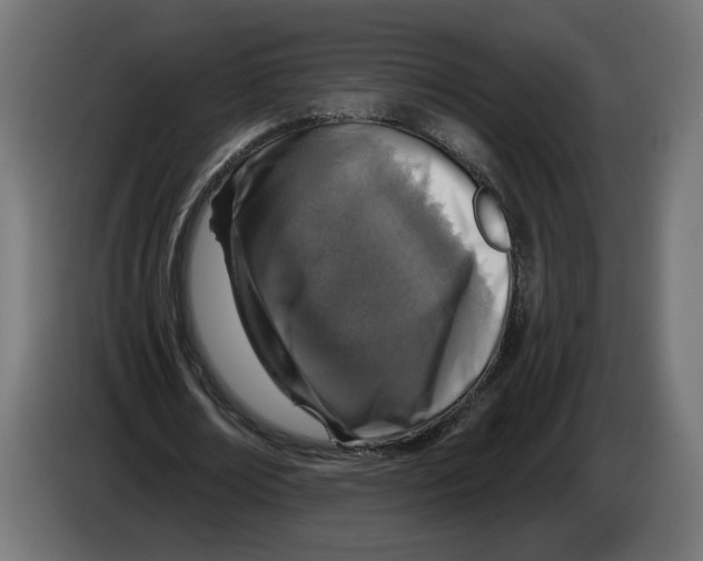 X0000082930674200703020106