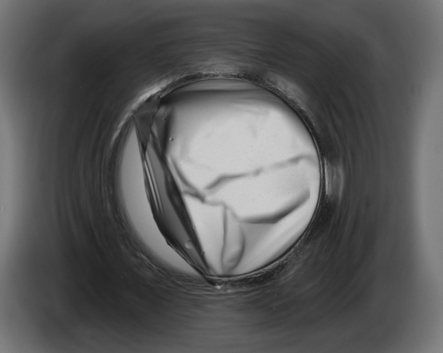 X0000082930675200703020106